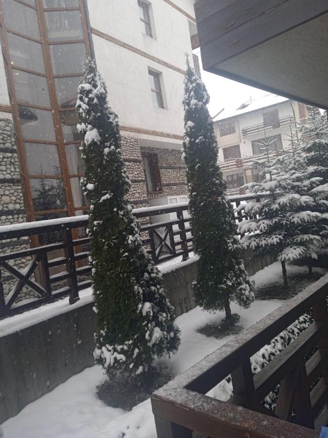 Mila Vip Apartment Bansko Exteriör bild